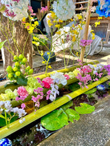 【熊本県】歓喜山 常清寺