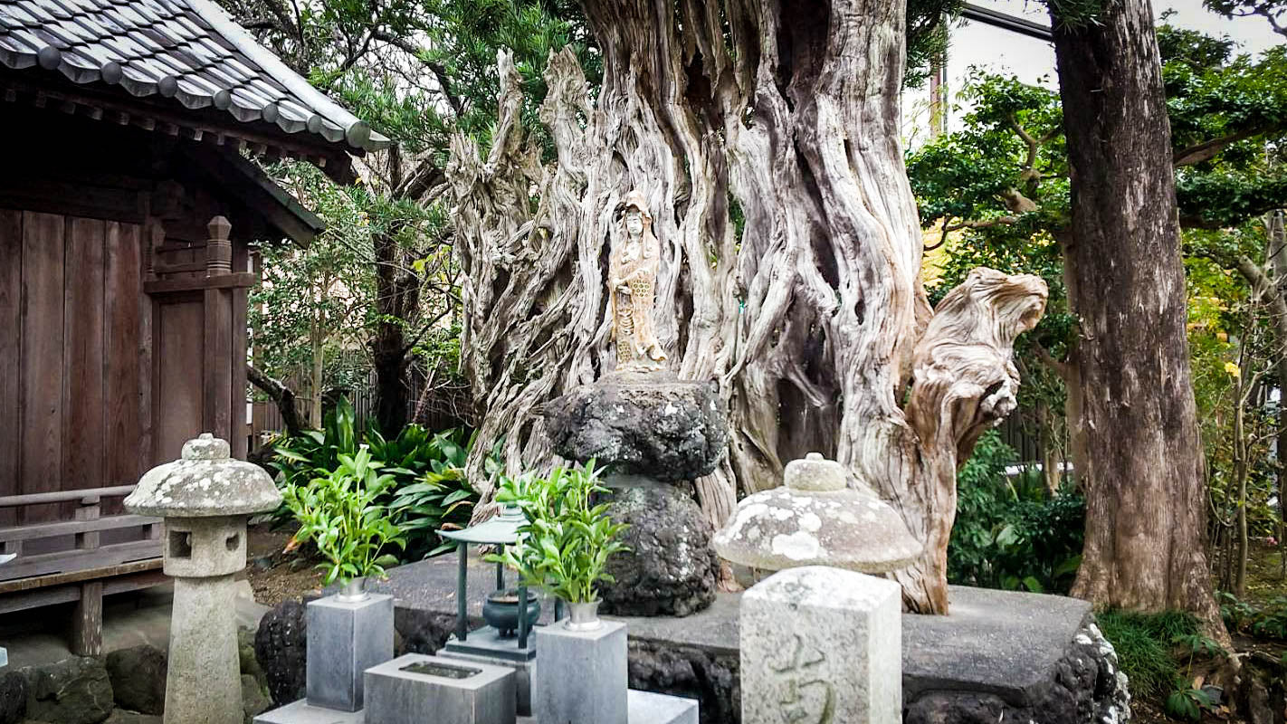 【静岡県】大通山瑞雲寺