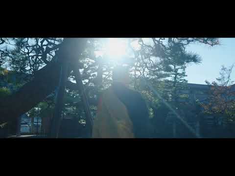【静岡県】大通山瑞雲寺